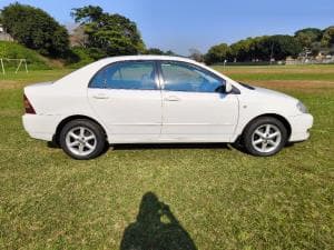 Corolla photograph 4
