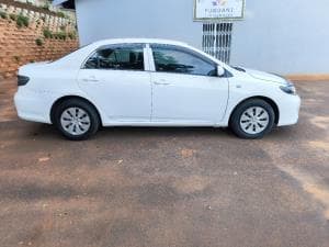 Corolla photograph 4