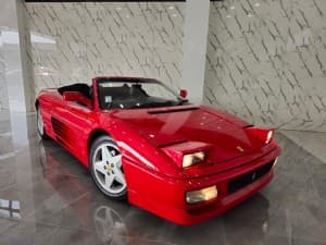 348 Spider photograph 2