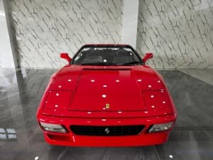 348 Spider photograph 5
